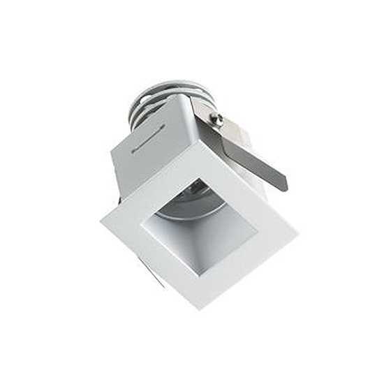 Quad 2.0 Downlight