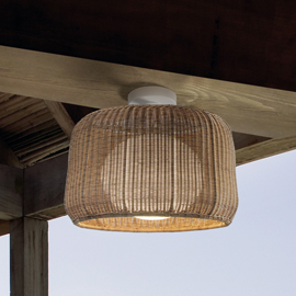 Fora Ceiling Light